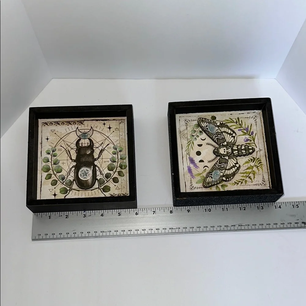Spirit Framed Insect Art Prints - Picture 2 of 7